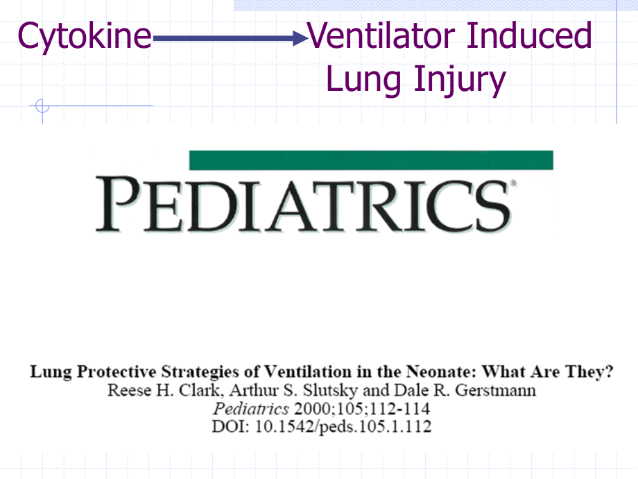 新生儿肺损伤和呼吸治疗_第2页