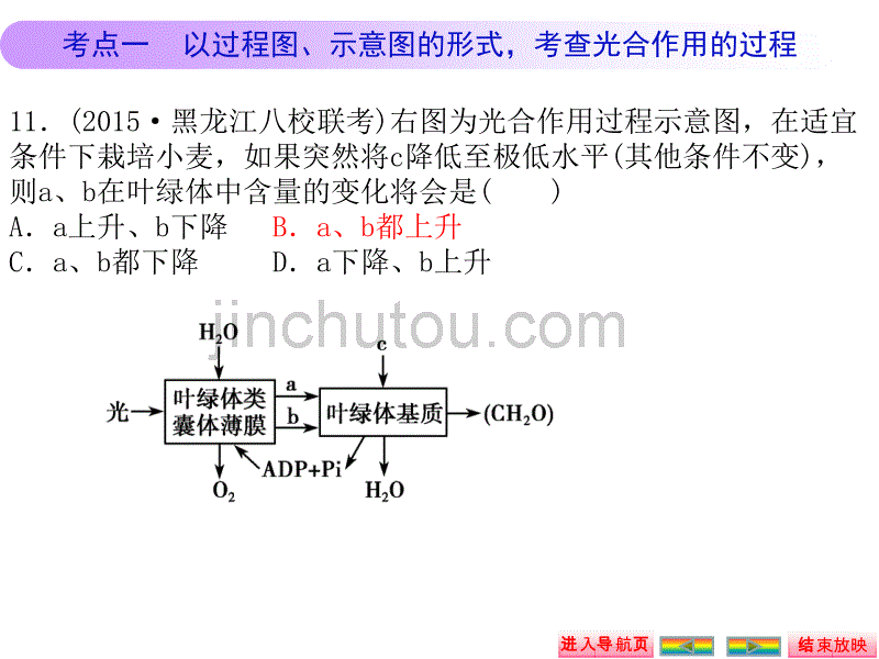 光与光合作用_第2页