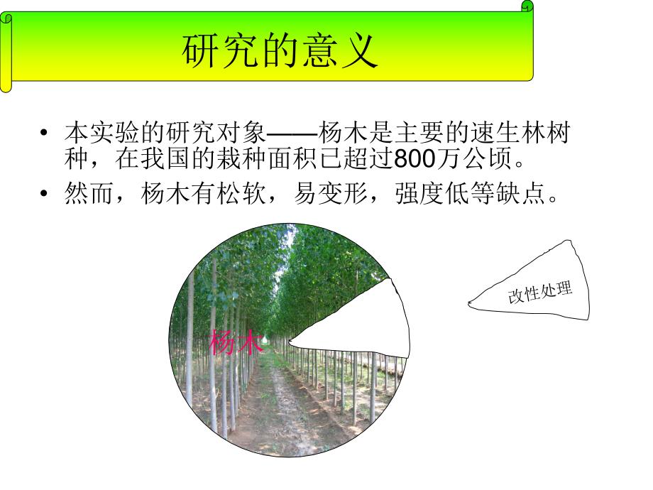 本科开题报告,木材科学类_第4页