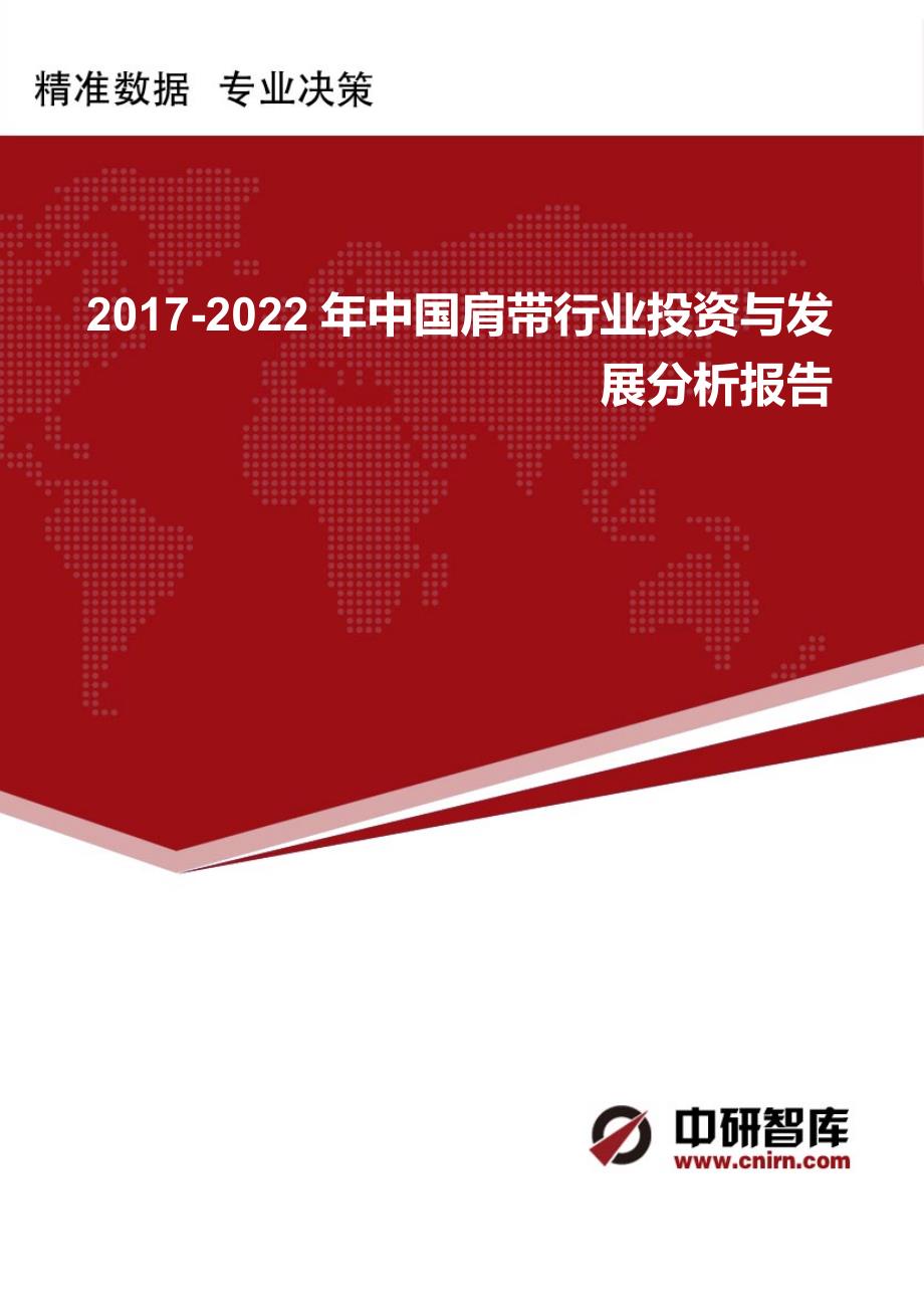 2017-2022年中国肩带行业投资与发展分析报告_第1页