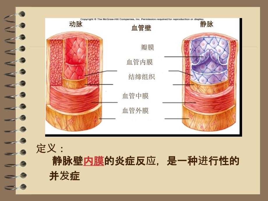 输液性静脉炎的研究进展1_第2页