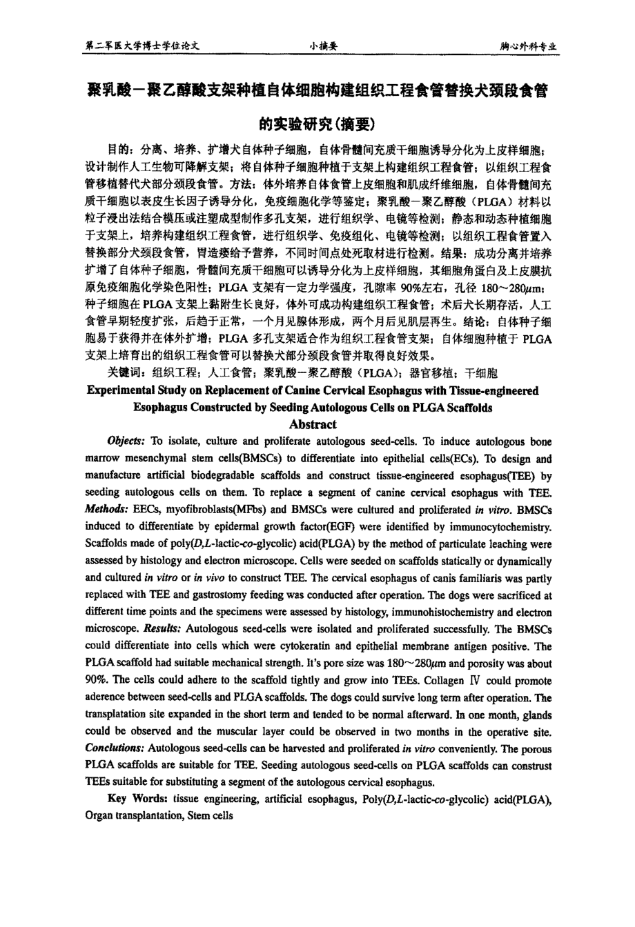 聚乳酸聚乙醇酸支架种植自体细胞构建组织工程食管替换犬颈段食管的实验研究_第2页