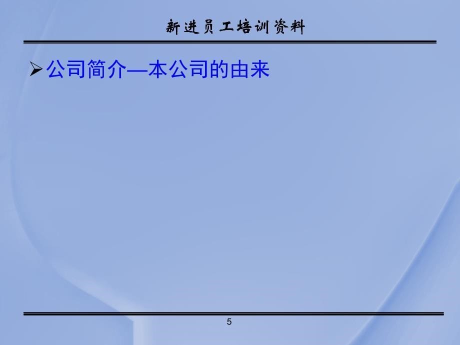 某公司新进员工入职培训课件_第5页