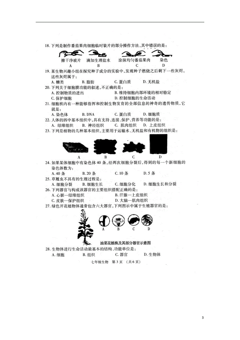 广西贺州市昭平县2017-2018学年七年级生物上学期期中试题 新人教版_第3页