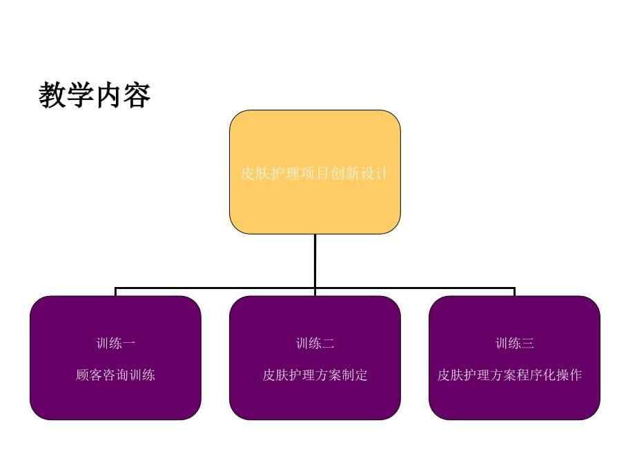 皮肤护理综合训练-美容师培训课件（131页精品PPT）_第5页