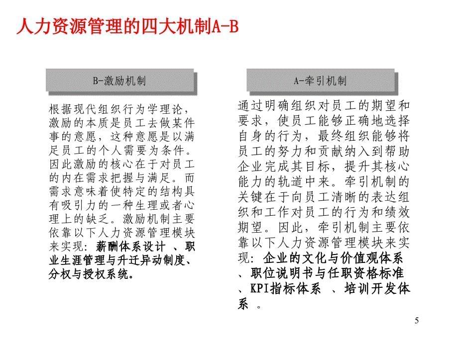 战略人力资源管理体系应用与实践案例_第5页