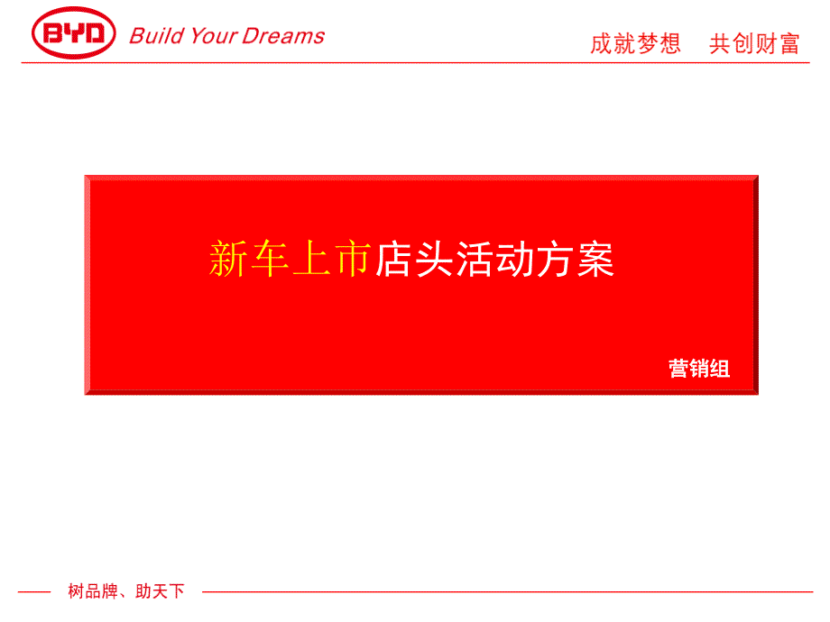 新车上市店头活动（比亚迪）_第1页