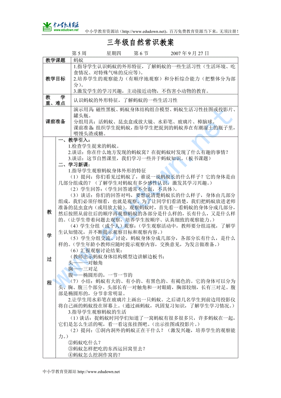 青岛版科学三年级下册《蚂蚁》教案_第1页