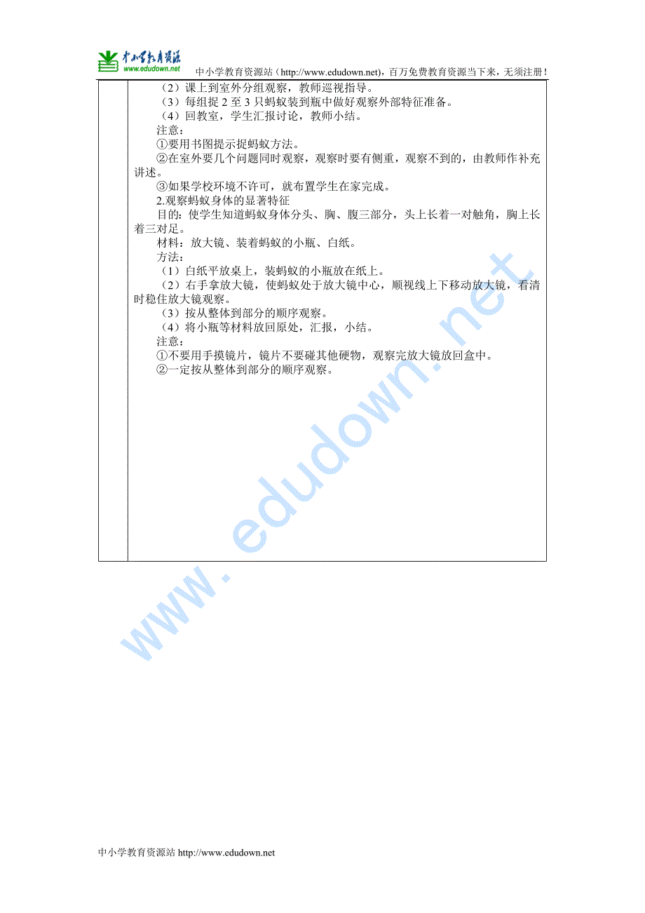 青岛版科学三年级下册《蚂蚁》教案_第3页