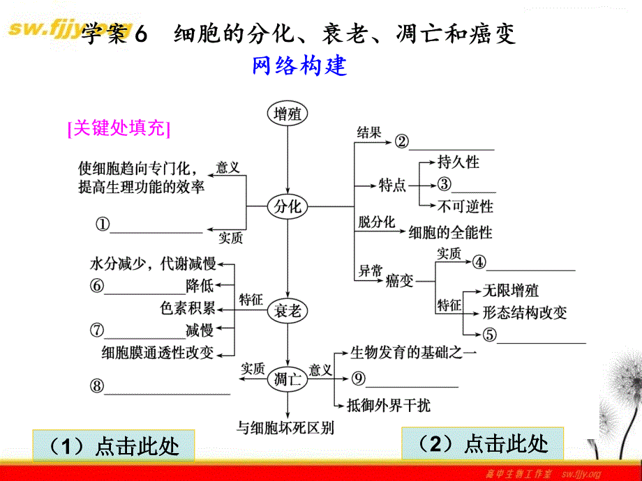 《金牌学案》2012届高考生物二轮专题复习课件：知识专题3学案6-细胞的分化、衰老、凋亡和癌变_第1页