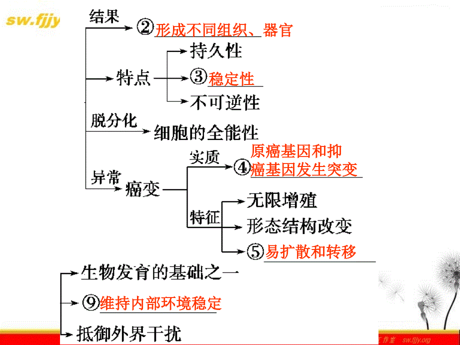 《金牌学案》2012届高考生物二轮专题复习课件：知识专题3学案6-细胞的分化、衰老、凋亡和癌变_第3页