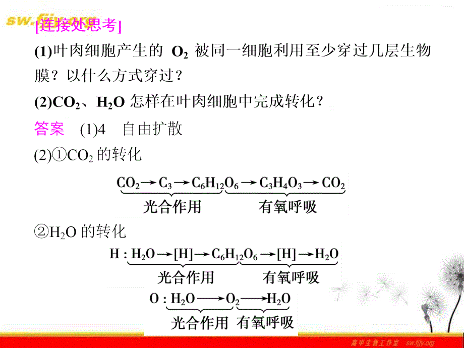 《金牌学案》2012届高考生物二轮专题复习课件：知识专题2学案4-光合作用与细胞呼吸_第4页