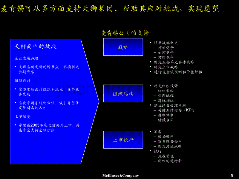 麦肯锡-2003年7月天狮集团战略设计和首次上市咨询报告_第5页