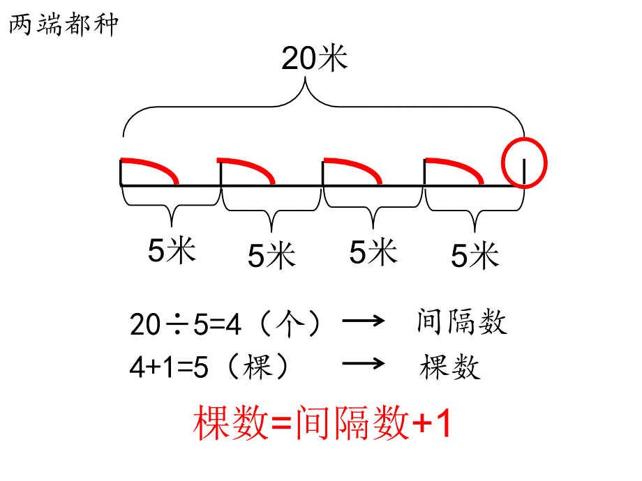 曹冰冰植树问题_第4页