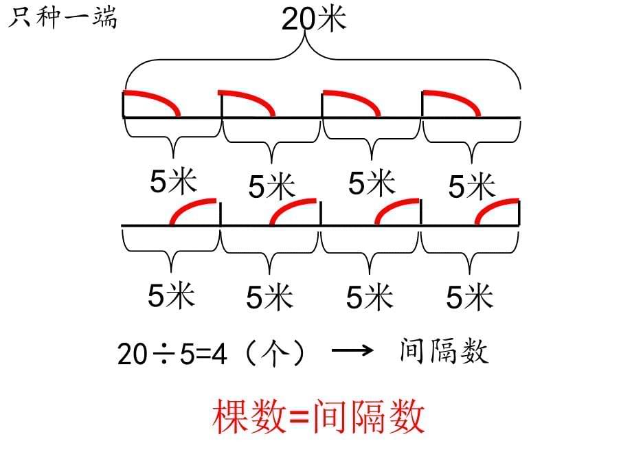 曹冰冰植树问题_第5页