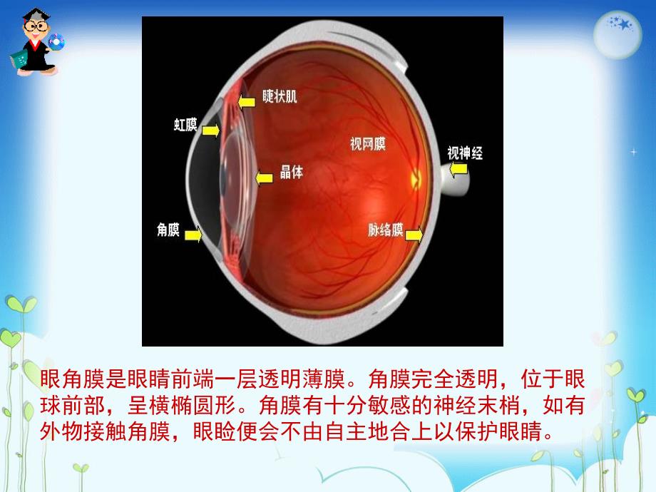 18.永生的眼睛(上课)_第2页