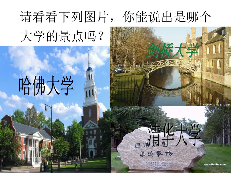 我们的大学梦_第4页