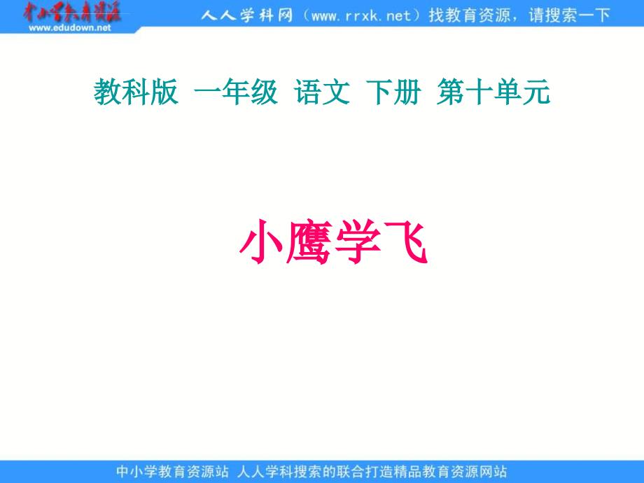 教科版一年级下册《小鹰学飞》课件1_第1页