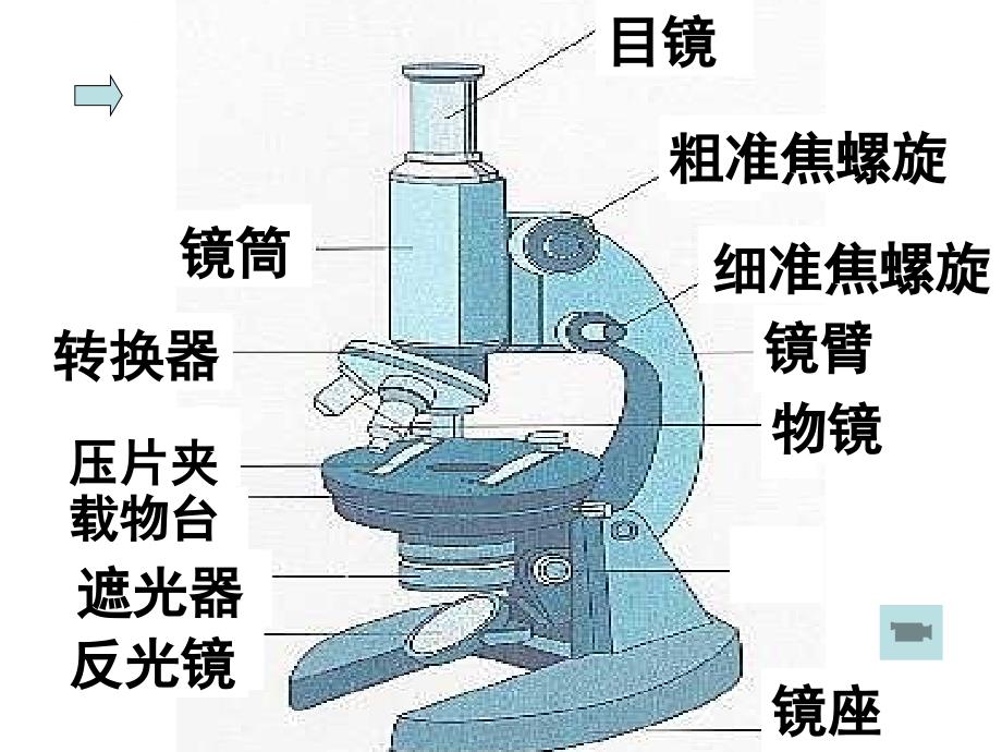 【必修1】1.2 细胞的多样性和统一性2 ppt培训课件_第3页