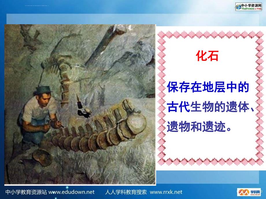 北师大版生物八下21.2 《生物的进化》ppt课件之一_第3页