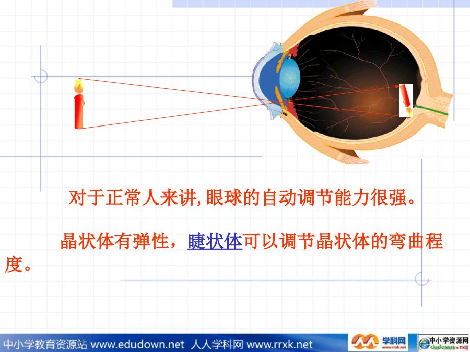沪科版物理八年级4.6《眼睛与视力矫正》课件4_第4页