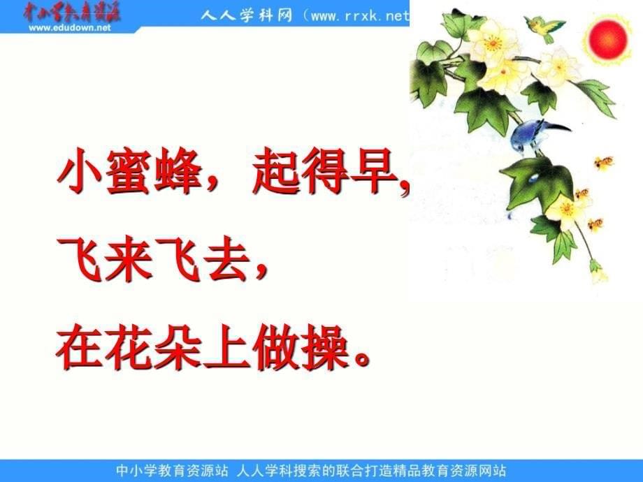 北师大版语文第一册《早操》课件2 (2)_第5页