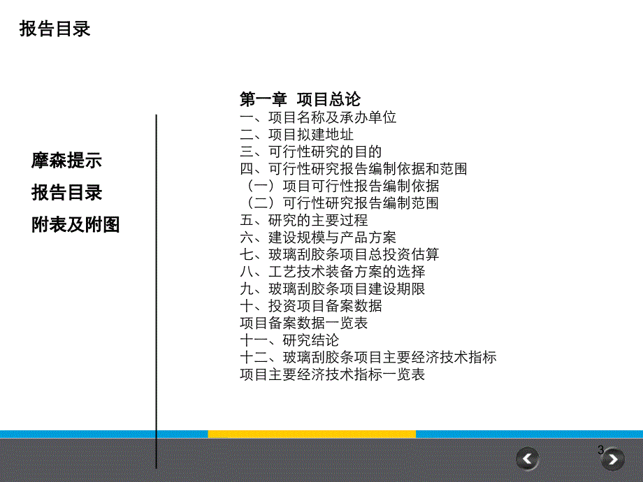 玻璃刮胶条项目可行研究报告_第3页