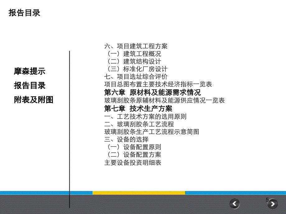 玻璃刮胶条项目可行研究报告_第5页