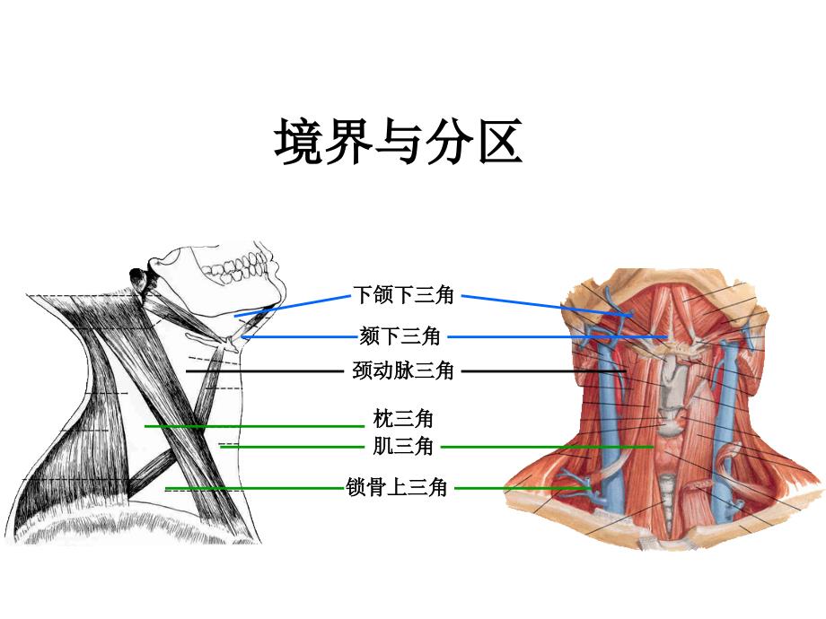 脊髓损伤与修复研究所_第4页