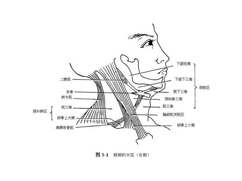 脊髓损伤与修复研究所_第5页