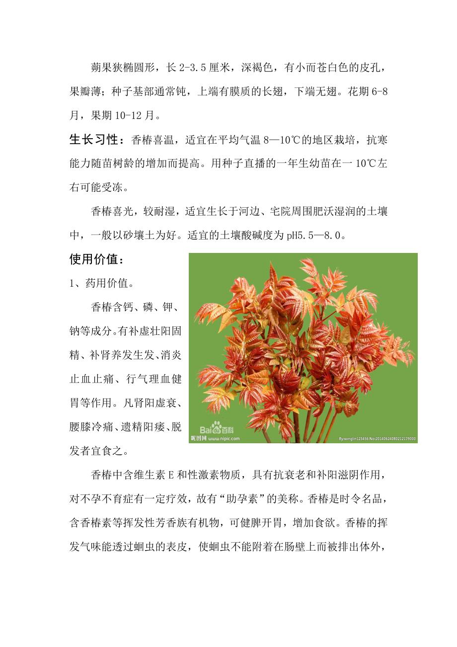 植物介绍-香椿树_第2页
