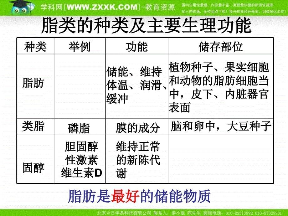 沪科版生物第一册第二节《 生物体中的有机化合物》ppt课件之二_第5页