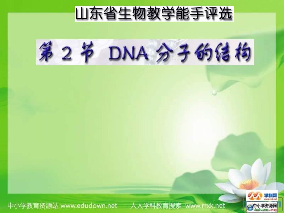 中图版生物必修2第二节《dna分子结构》课件_第1页