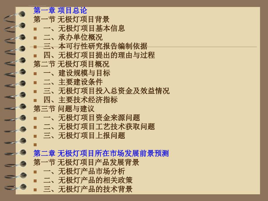 无极灯项目可行性研究报告ppt培训课件_第3页