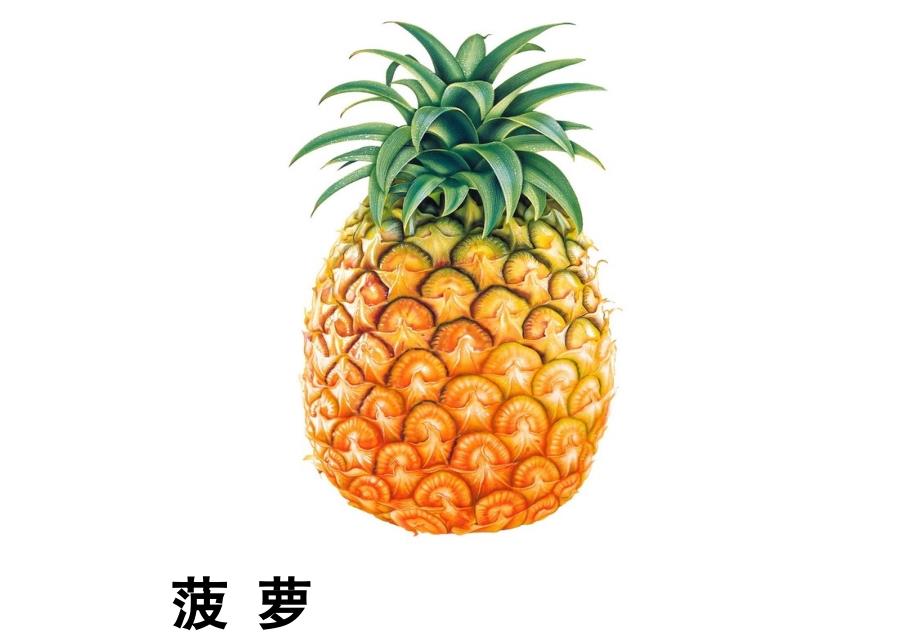 水果图片（菠萝ppt培训课件_第1页