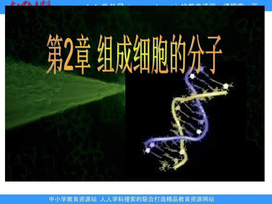 新人教版生物(必修1)2.4《细胞中的糖类和脂质》课件_第1页