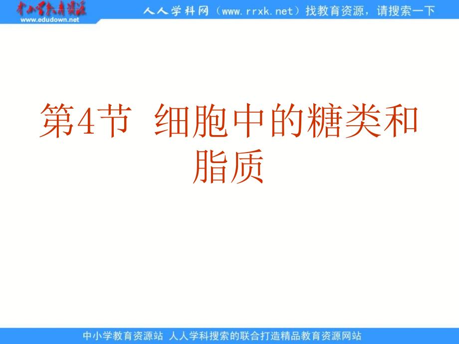 新人教版生物(必修1)2.4《细胞中的糖类和脂质》课件_第2页