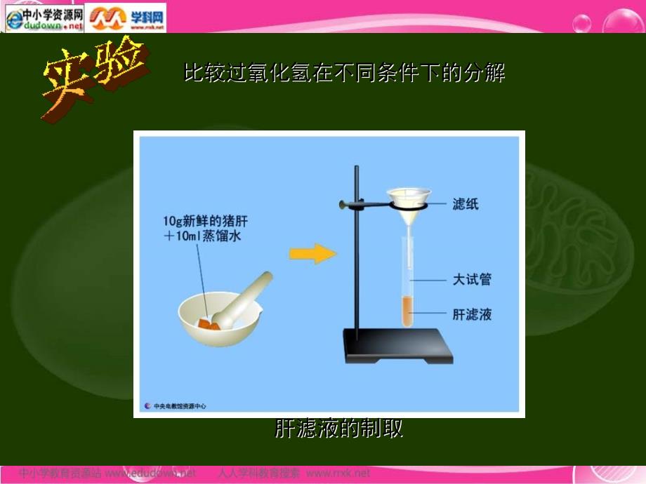 新人教版生物(必修1)5.1《酶的作用和本质》课件之二_第4页