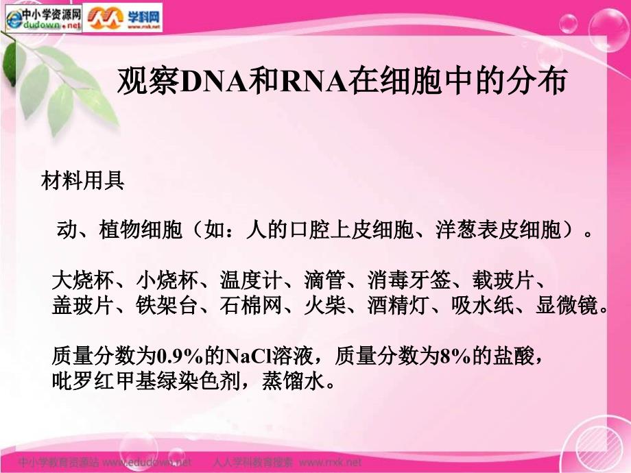 新人教版生物(必修1)2.3《遗传信息的携带者——核酸》课件之一_第4页