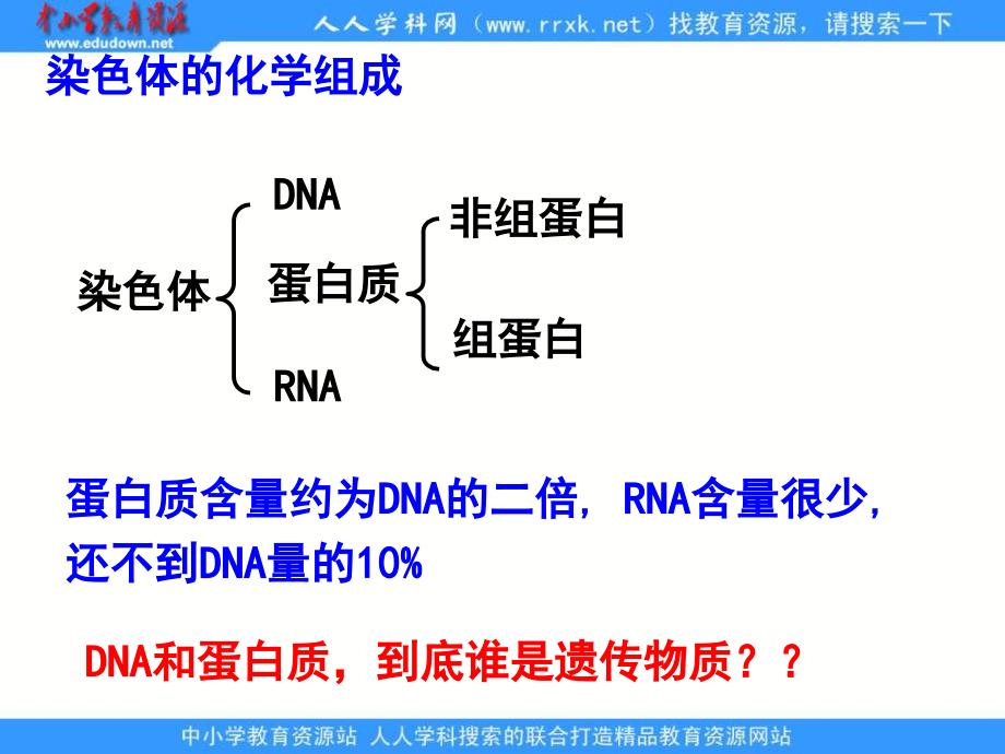 浙科版生物必修2第一节《 核酸是遗传物质的证据》课件_第2页