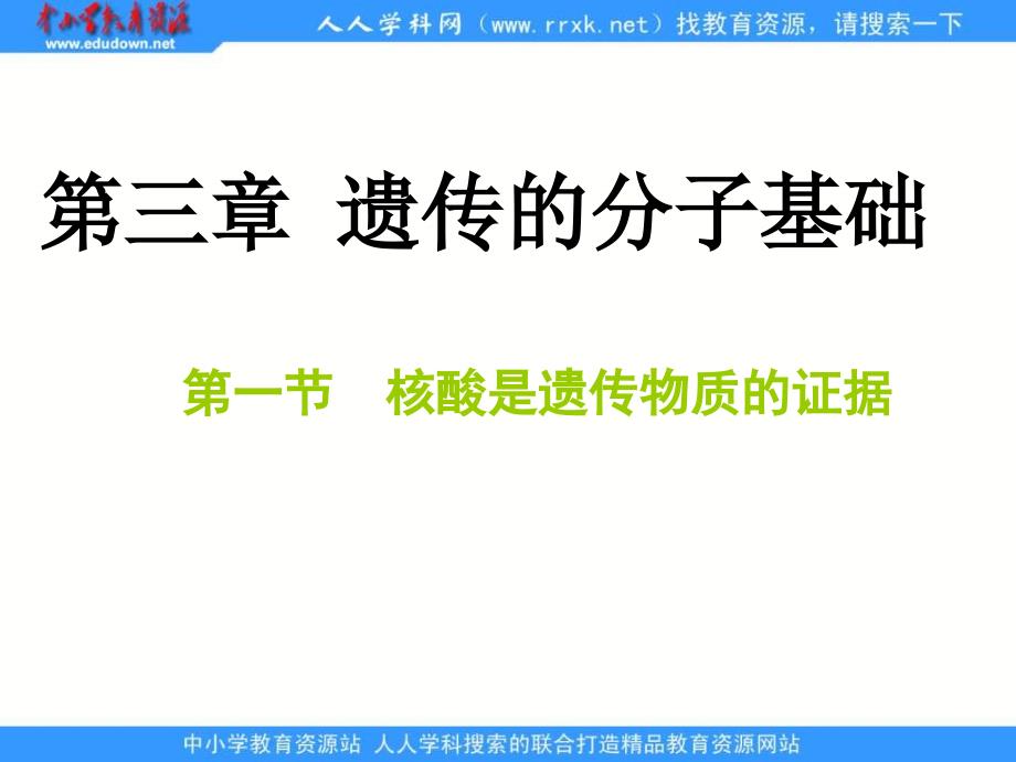 浙科版生物必修2第一节《 核酸是遗传物质的证据》课件_第3页