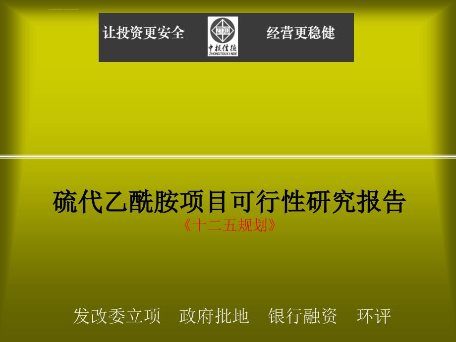 硫代乙酰胺项目可行性研究报告ppt培训课件_第1页