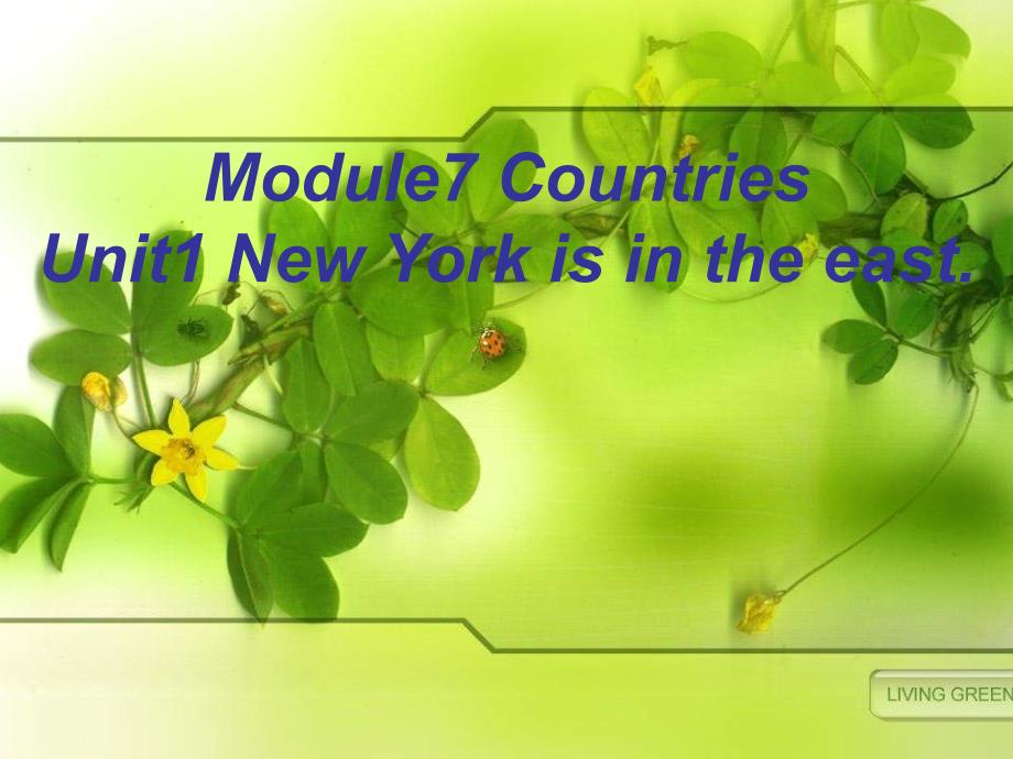 外研版（三起）英语四年级下册《Module 7 Unit 1 New York is in the east》PPT课件_第1页