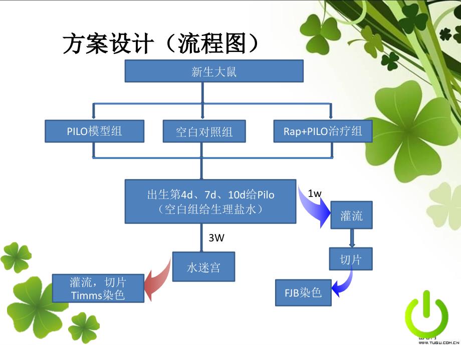 雷帕霉素对新生大鼠多次癫痫发作的保护作用ppt培训课件_第4页