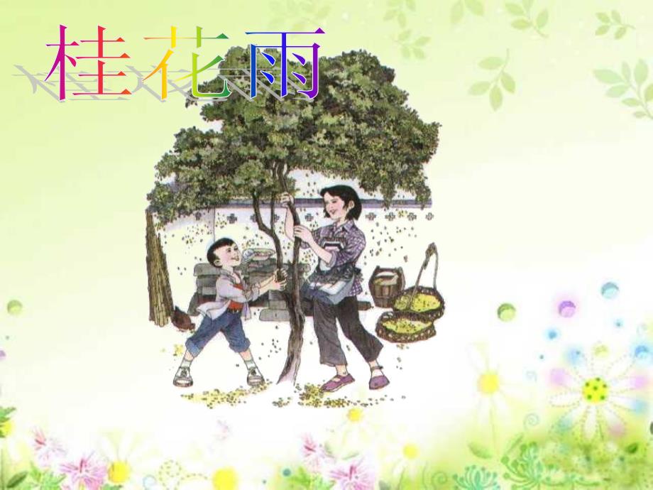 苏教版四年级上册《桂花雨》课件3_第1页