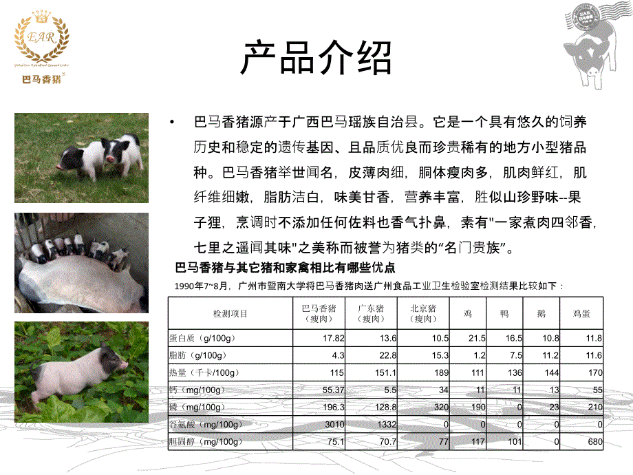 食品企业招商手册ppt培训课件_第3页