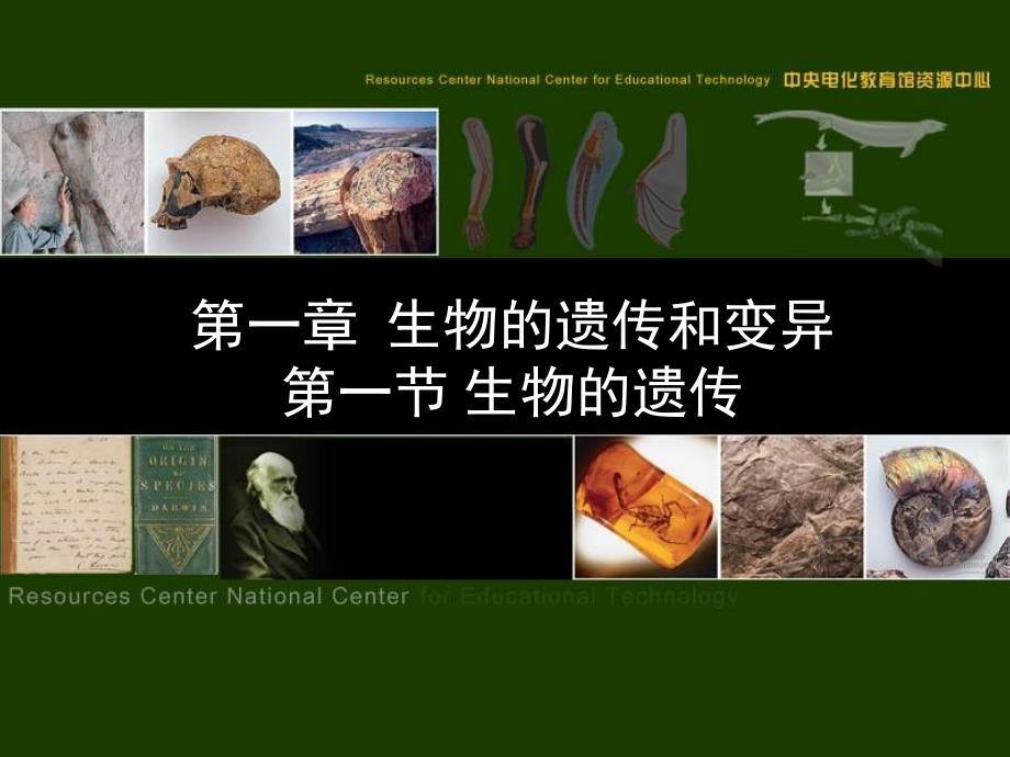 生物的遗传ppt培训课件_第1页