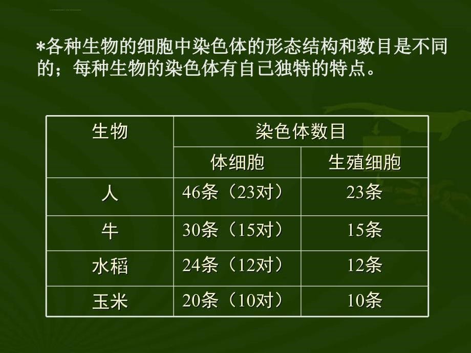 生物的遗传ppt培训课件_第5页