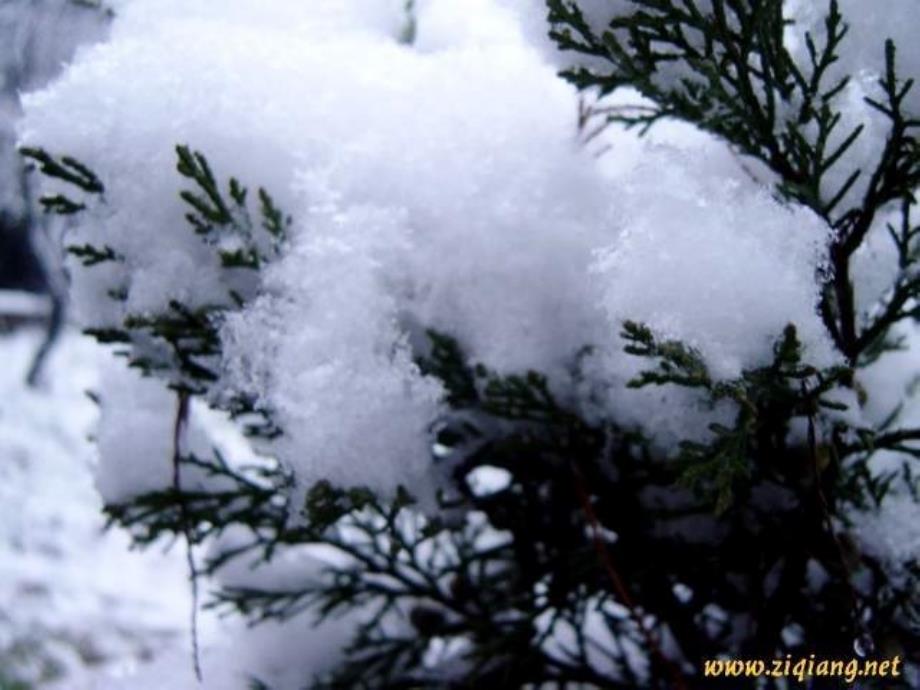 鲁教版七下《湖心亭看雪》课件27_第4页