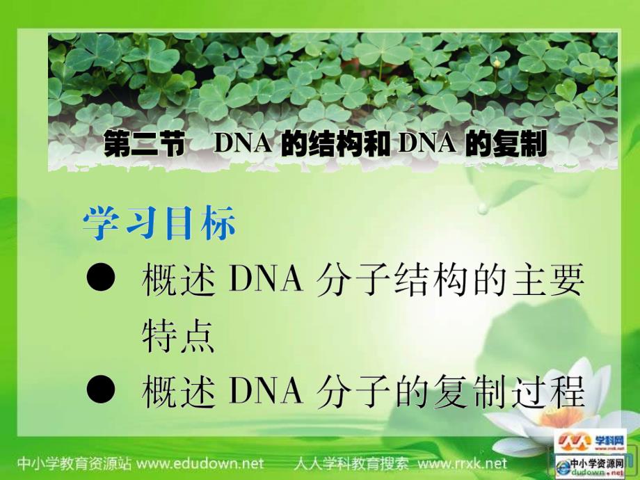 苏教版生物必修2第二节《 dna的结构和dna的复制》课件之二_第1页